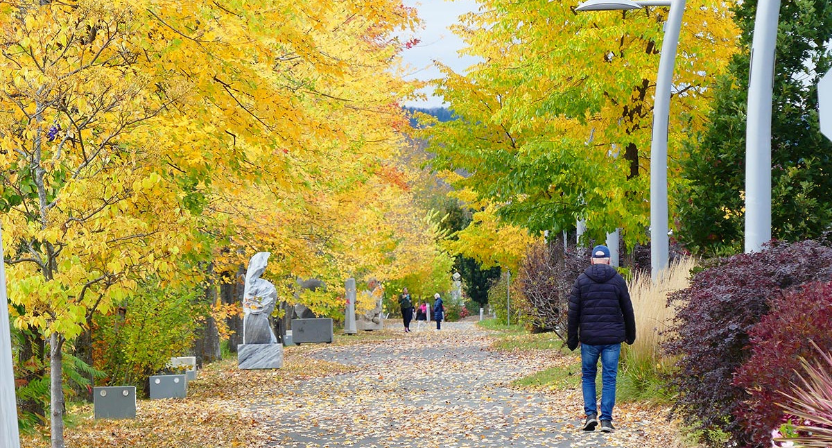 Là où il fait bon vivre - automne